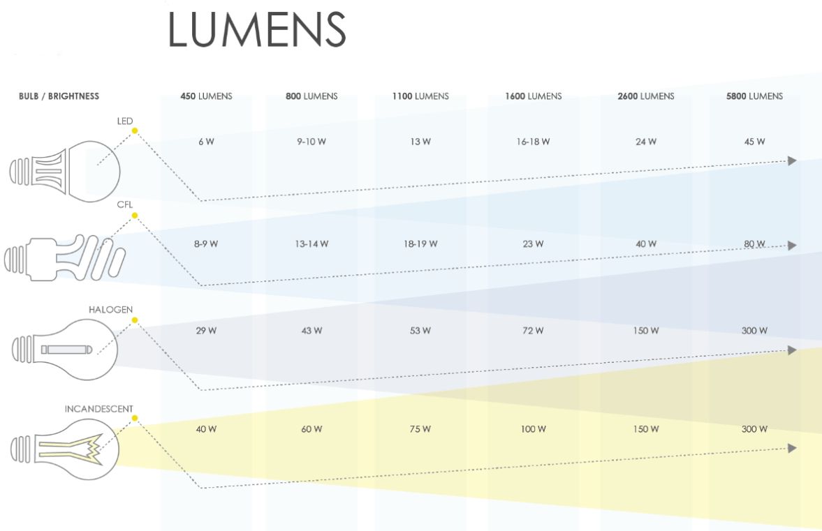  Lumens of Different Bulbs