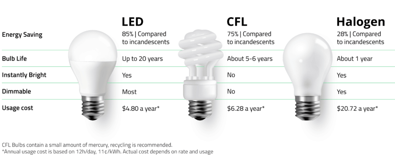  Light Bulbs Comparison Chart